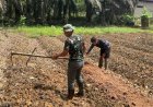 TANGAN DINGIN SATGAS PAMTAS RI-MLY SULAP LAHAN TIDUR MENJADI PRODUKTIF & BERMANFAAT BAGI MASYARAKAT PERBATASAN